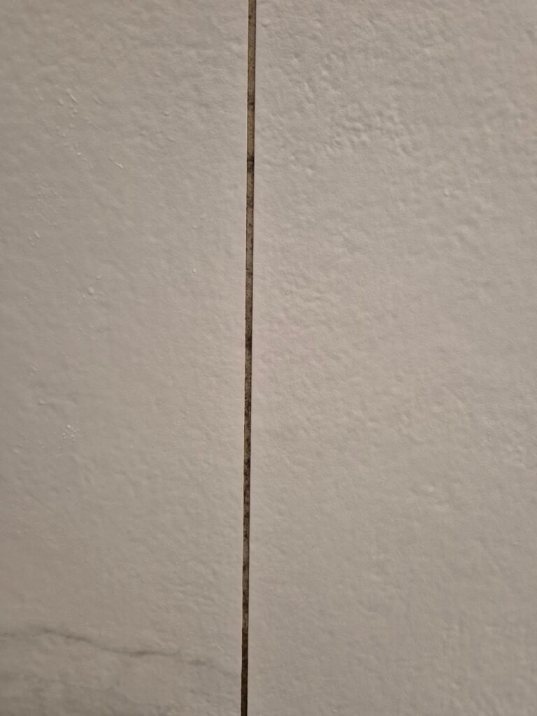 Dirty discoloured tile grout in a bathroom before cleaning