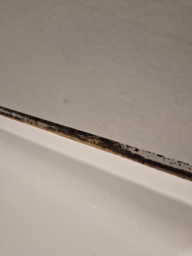 Failed silicone sealant blackened with mould along a bath edge, where water damage begins